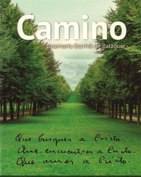 Camino